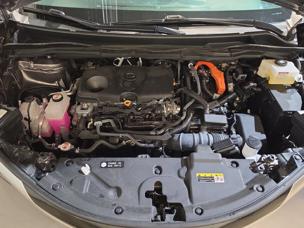 Used 2024 Toyota Sienna Limited AWD/4WD image 18