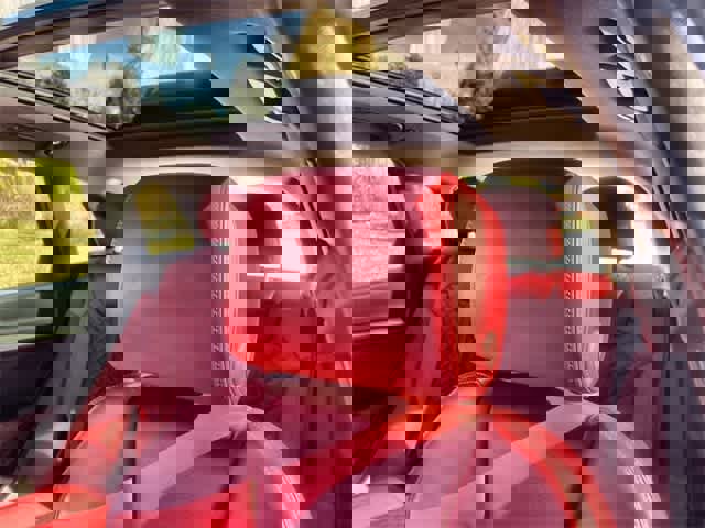 Used 2024 Audi SQ5 Prestige image 25