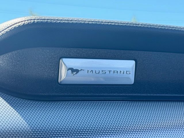 Used 2018 Ford Mustang GT RWD image 52