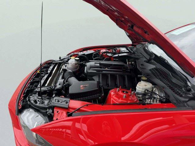 Used 2019 Ford Mustang Coupe w/ Equipment Group 101A RWD image 57