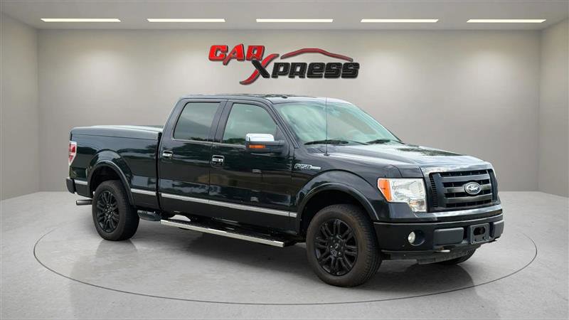 Used 2010 Ford F150 Platinum image 6