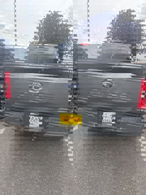 Used 2023 Ford F150 XLT w/ Equipment Group 302A High image 9