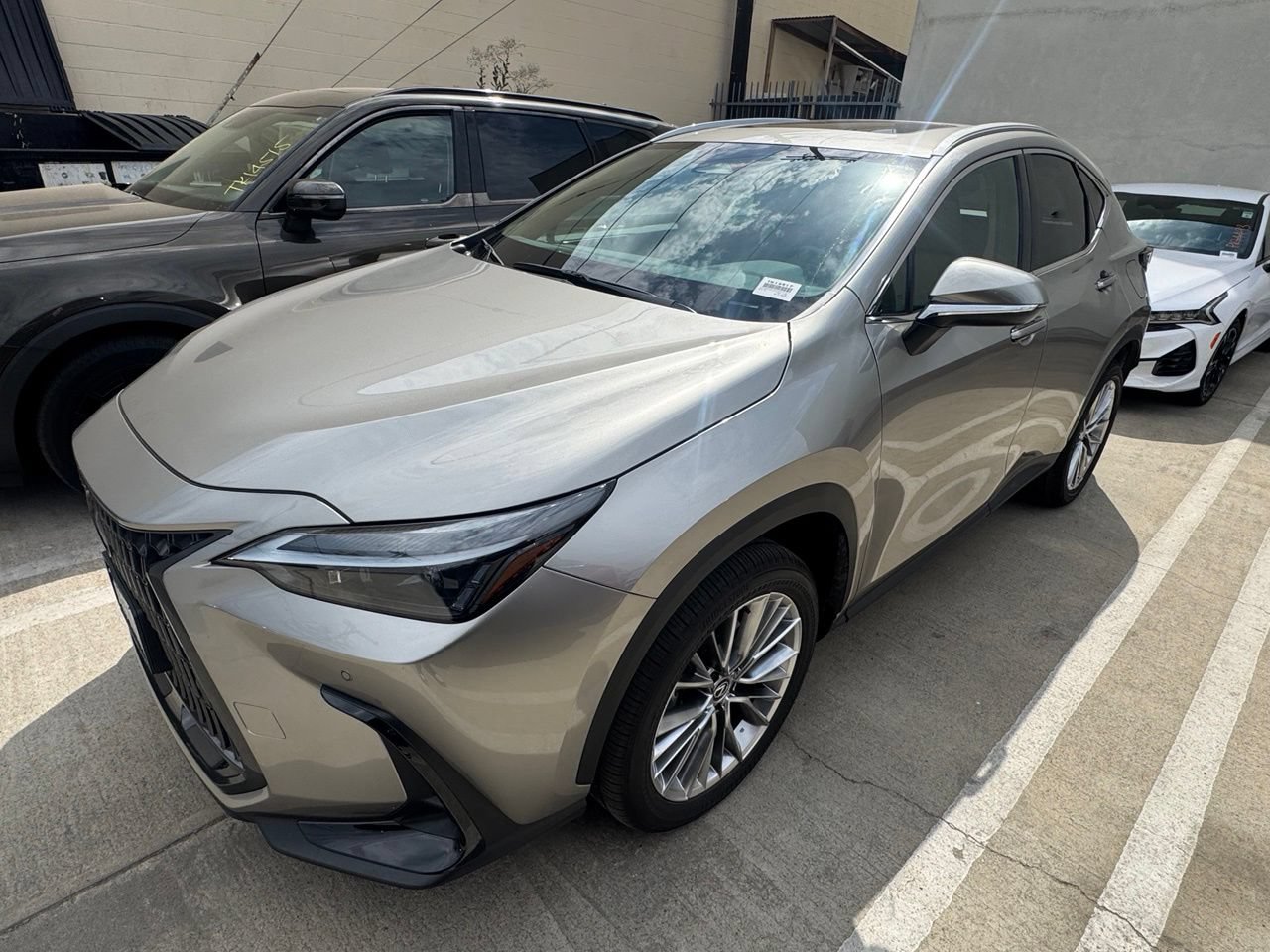 Used 2025 Lexus NX 350h AWD w/ Cold Area Package image 2