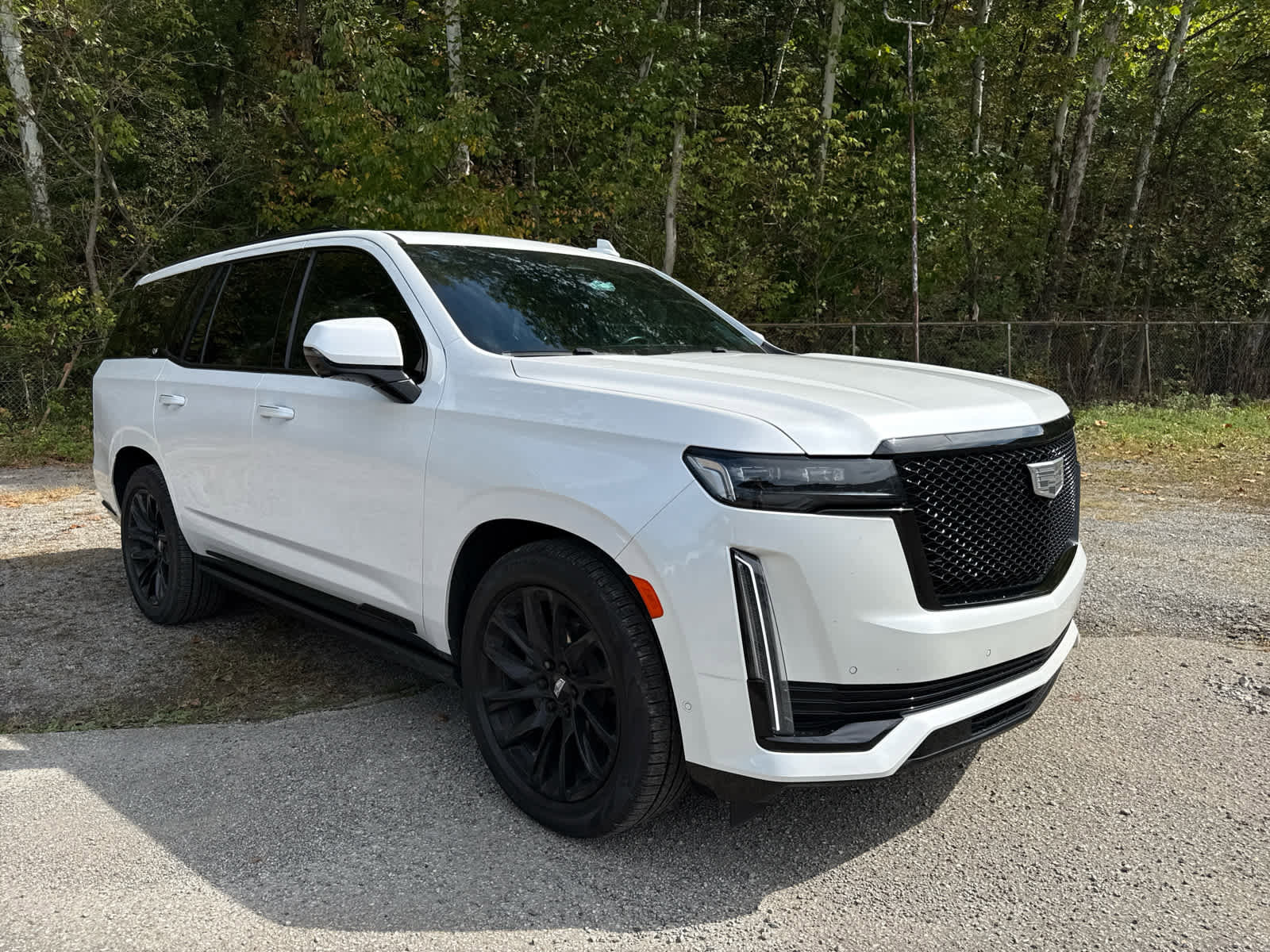 Used 2023 Cadillac Escalade Sport Platinum w/ LPO, ONYX Package image 2