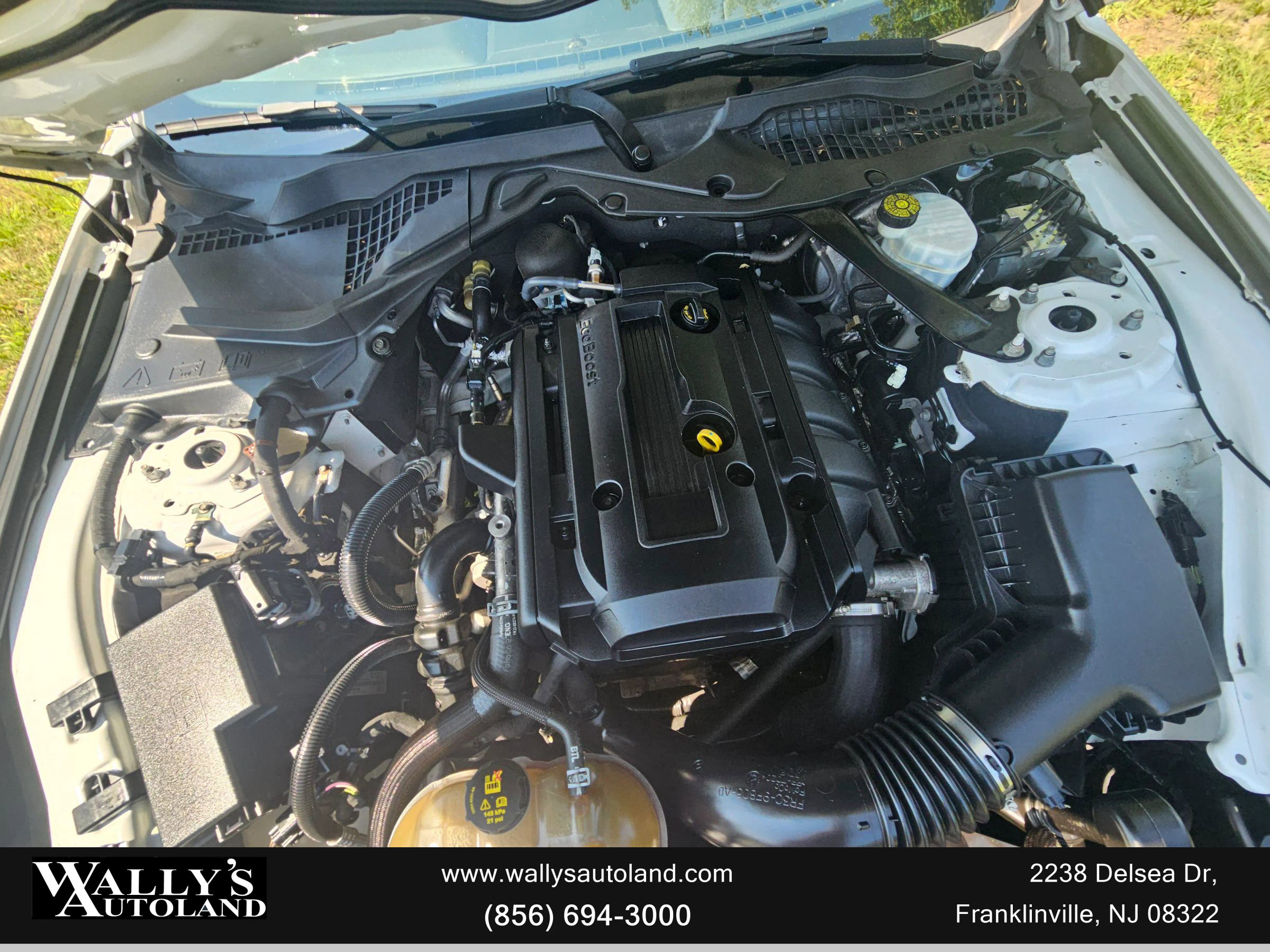 Used 2019 Ford Mustang Convertible image 9