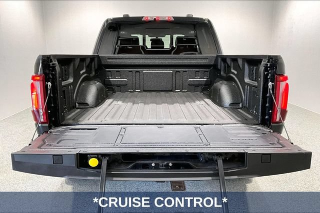 Used 2025 Ford F150 Raptor AWD/4WD image 10