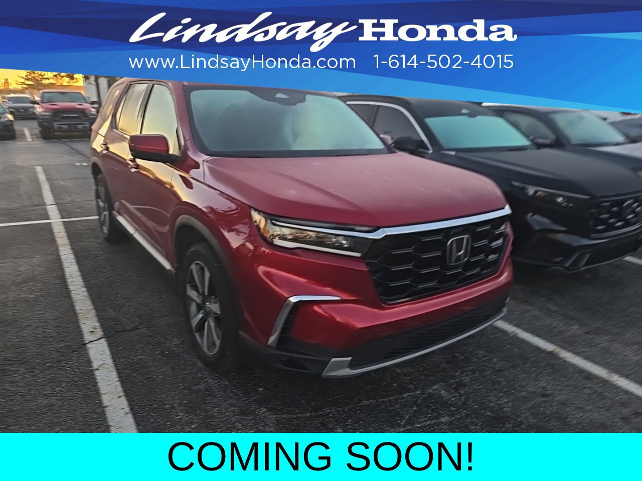 Used 2025 Honda Pilot Touring image 3