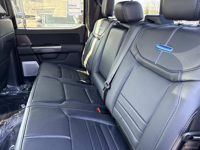 New 2026 Ford F150 Platinum w/ Equipment Group 702A High image 18