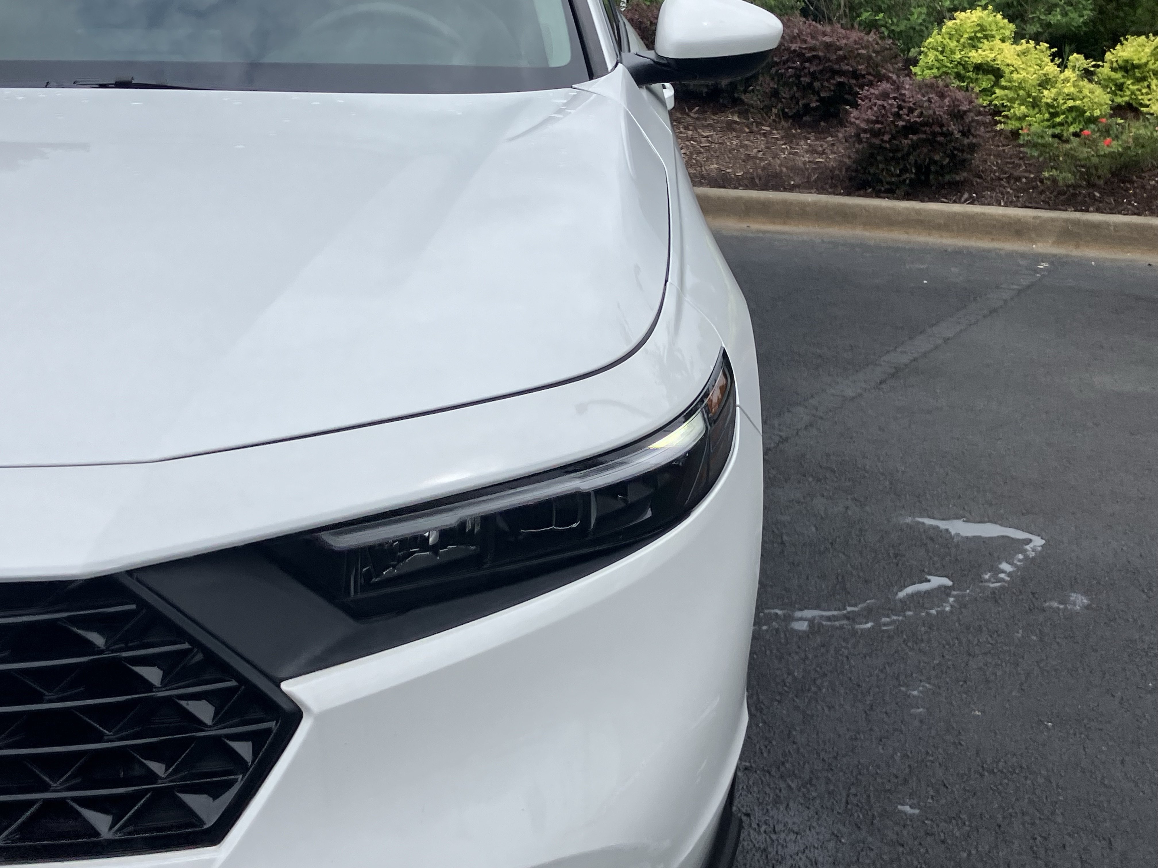 Certified 2023 Honda Accord EX image 5