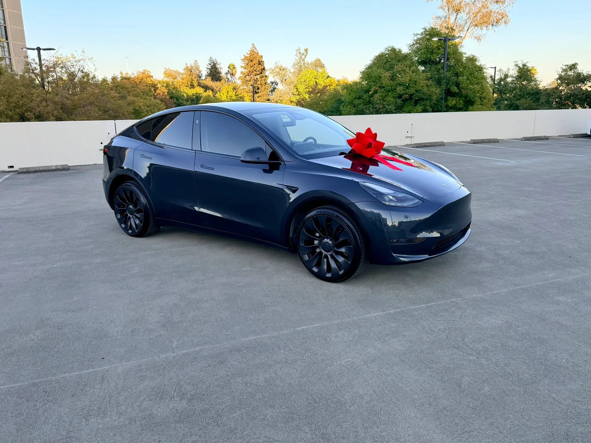 Used 2025 Tesla Model Y Long Range AWD/4WD image 15