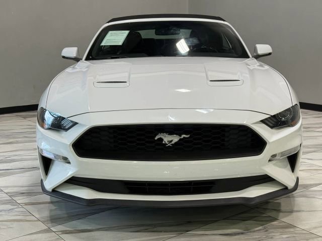 Used 2019 Ford Mustang Premium RWD image 3