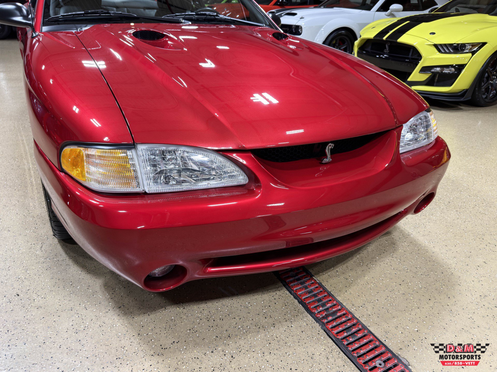 Used 1996 Ford Mustang Cobra RWD image 51