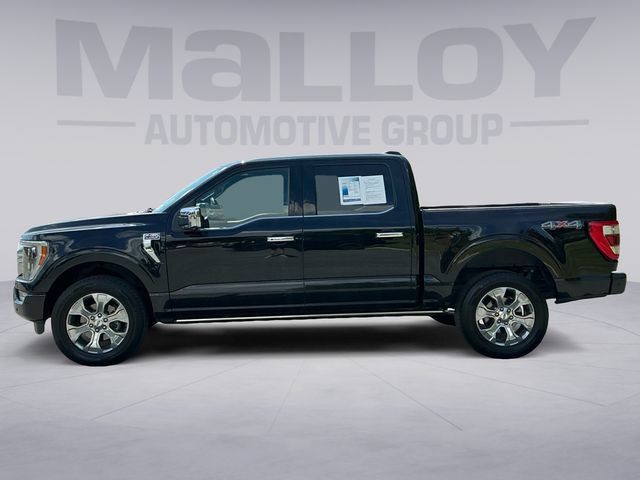 Used 2022 Ford F150 Platinum w/ Equipment Group 701A High AWD/4WD image 2