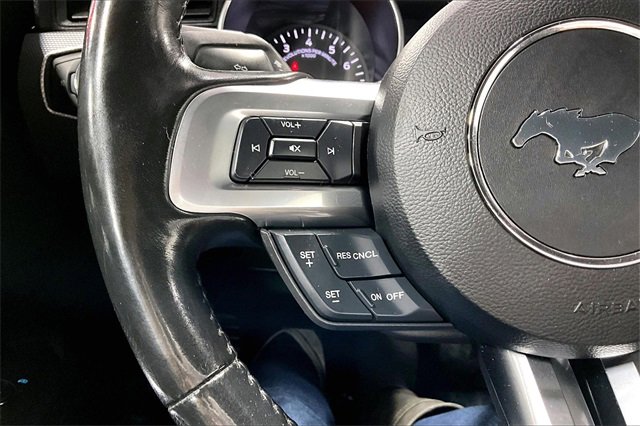 Used 2019 Ford Mustang GT w/ Equipment Group 301A image 11