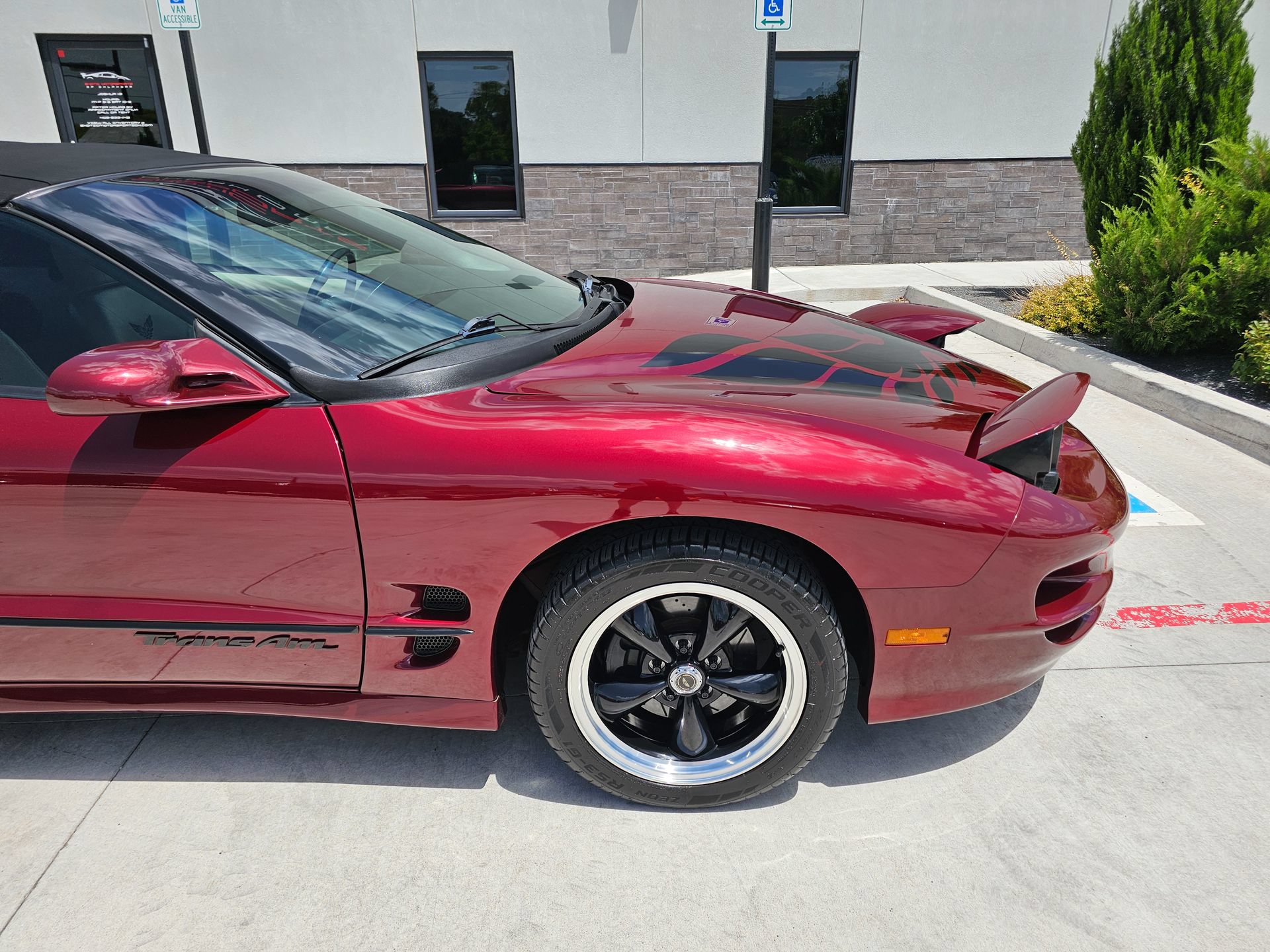 Used 2000 Pontiac Firebird Trans Am RWD image 66