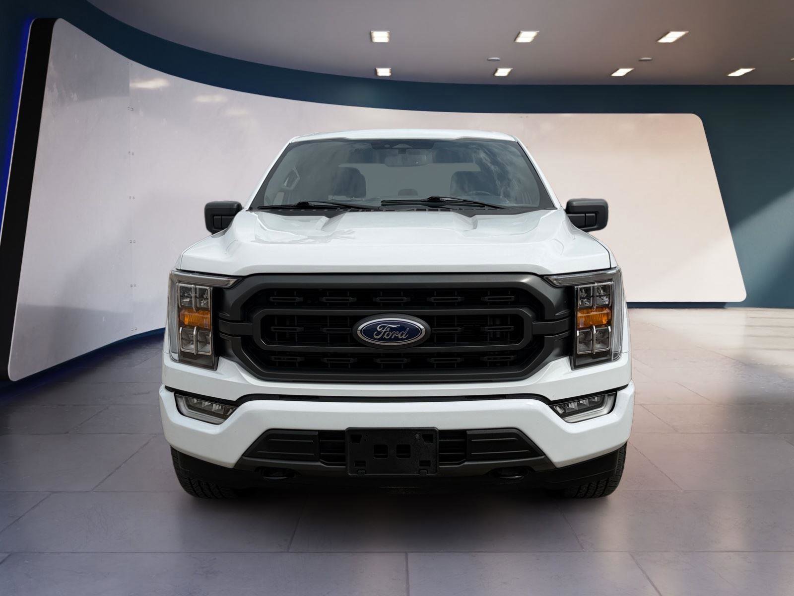 Used 2023 Ford F150 XLT w/ Equipment Group 302A High image 8