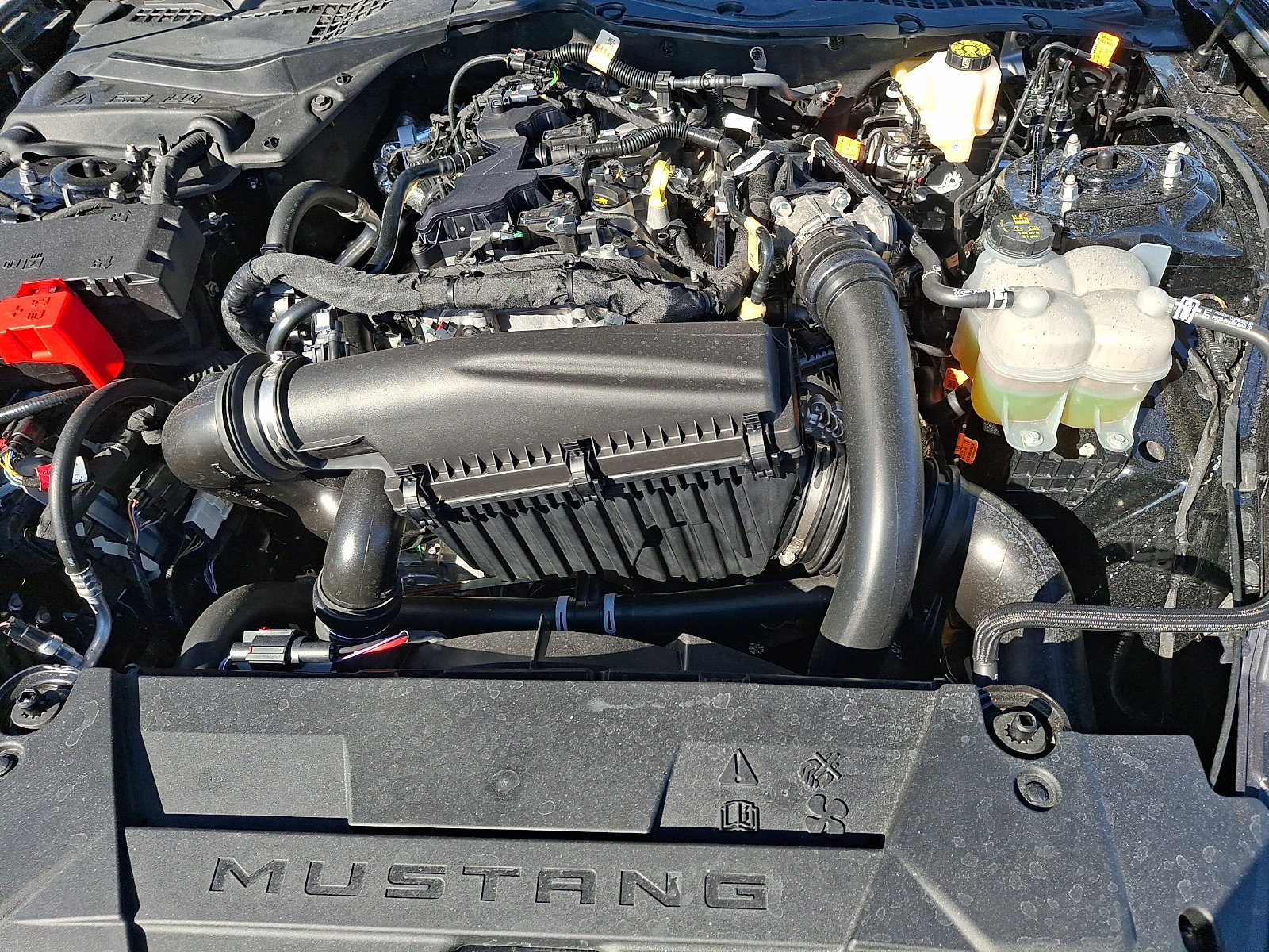 Certified 2025 Ford Mustang Coupe image 27