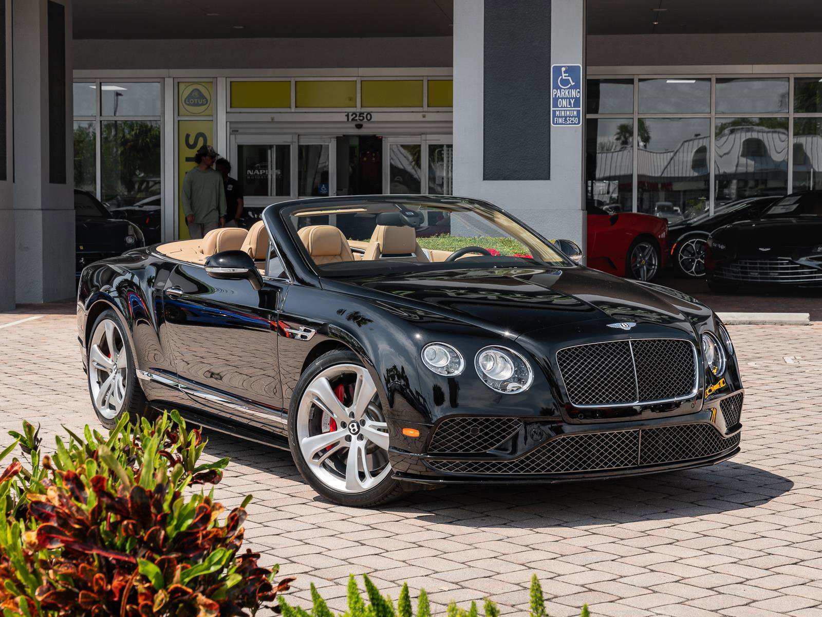 Used 2016 Bentley Continental GT Speed image 3
