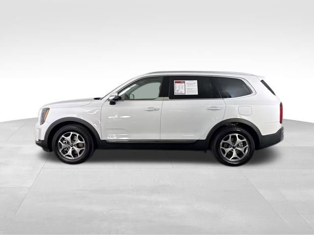 Certified 2022 Kia Telluride EX image 6