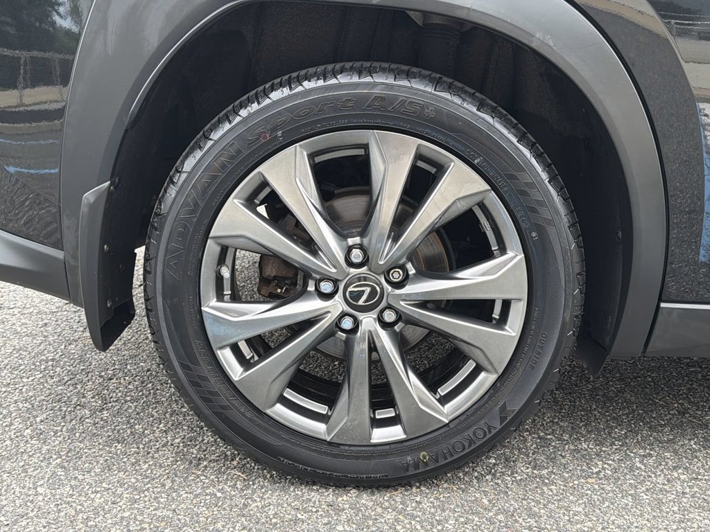 Used 2019 Lexus UX 250h F Sport w/ F Sport Premium Package AWD/4WD image 12