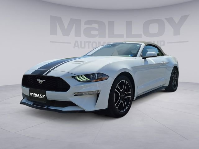 Used 2022 Ford Mustang Premium w/ Equipment Group 201A image 1