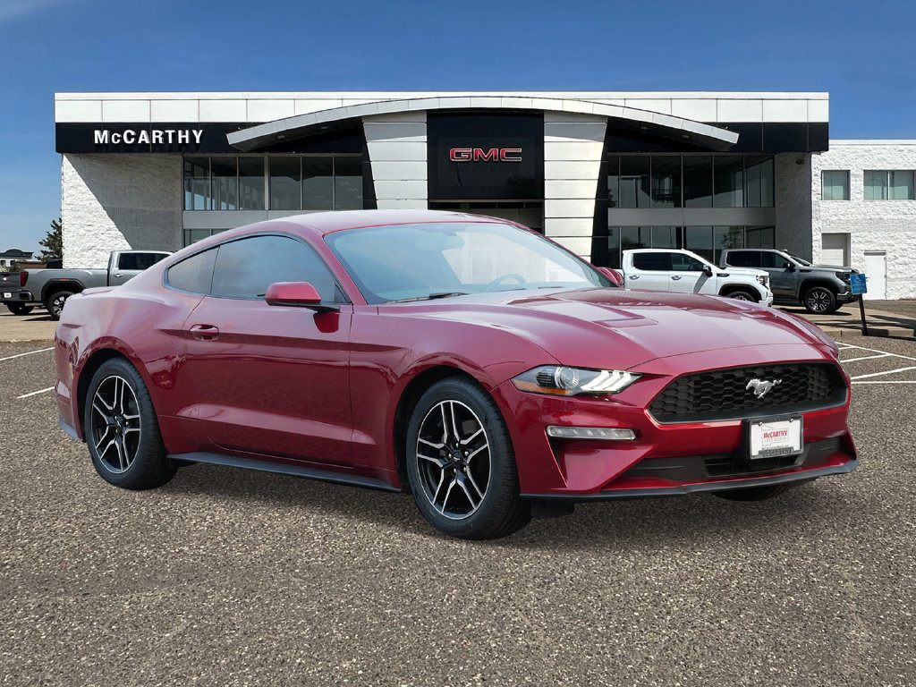 Used 2019 Ford Mustang Coupe w/ Equipment Group 101A RWD image 1