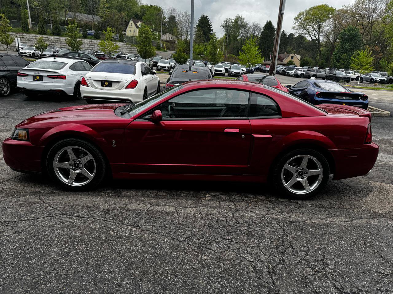 Used 2004 Ford Mustang Cobra RWD image 7