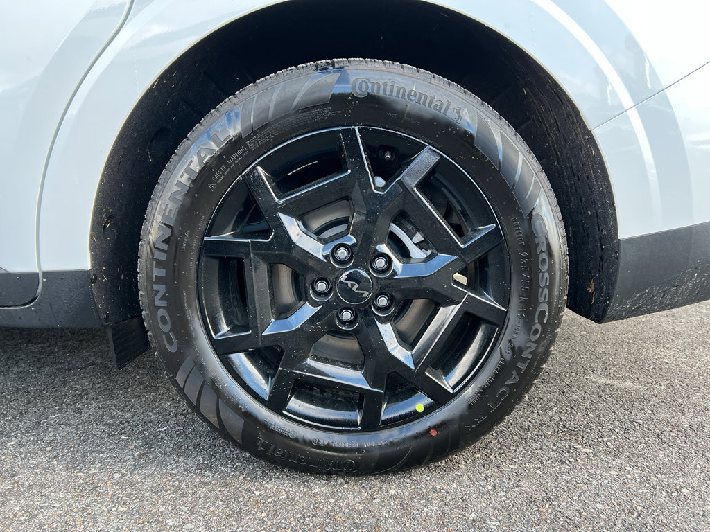 New 2026 Kia Carnival SX Prestige image 8