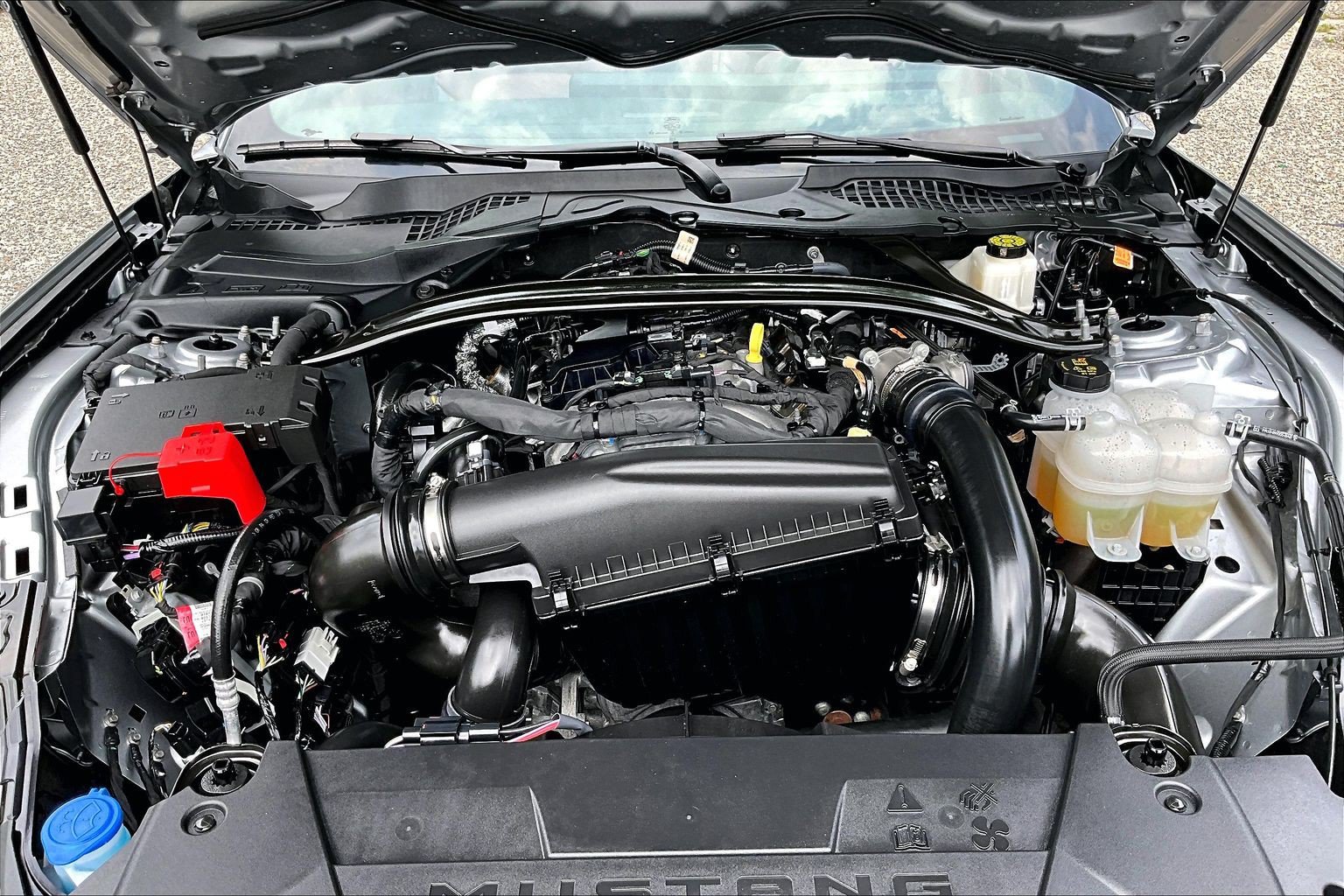 Used 2026 Ford Mustang Premium RWD image 9