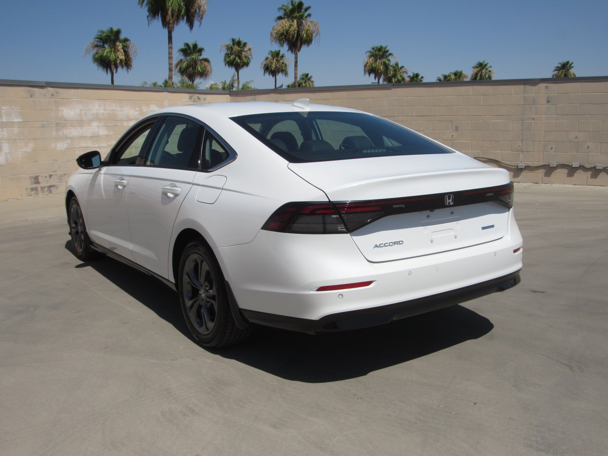 Certified 2025 Honda Accord EX-L image 6