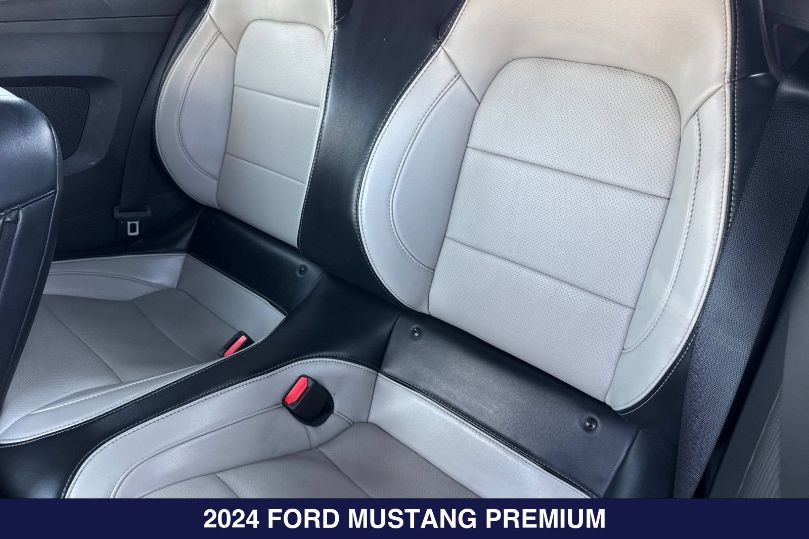 Certified 2024 Ford Mustang Premium RWD image 15