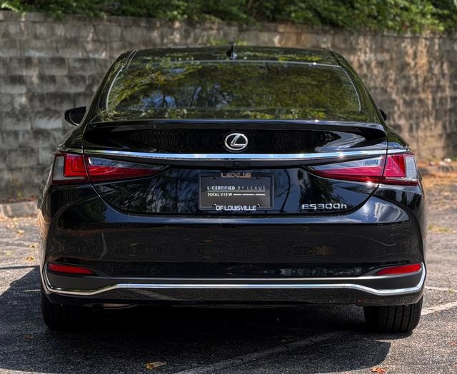 Certified 2025 Lexus ES 300h w/ Premium Package FWD image 6