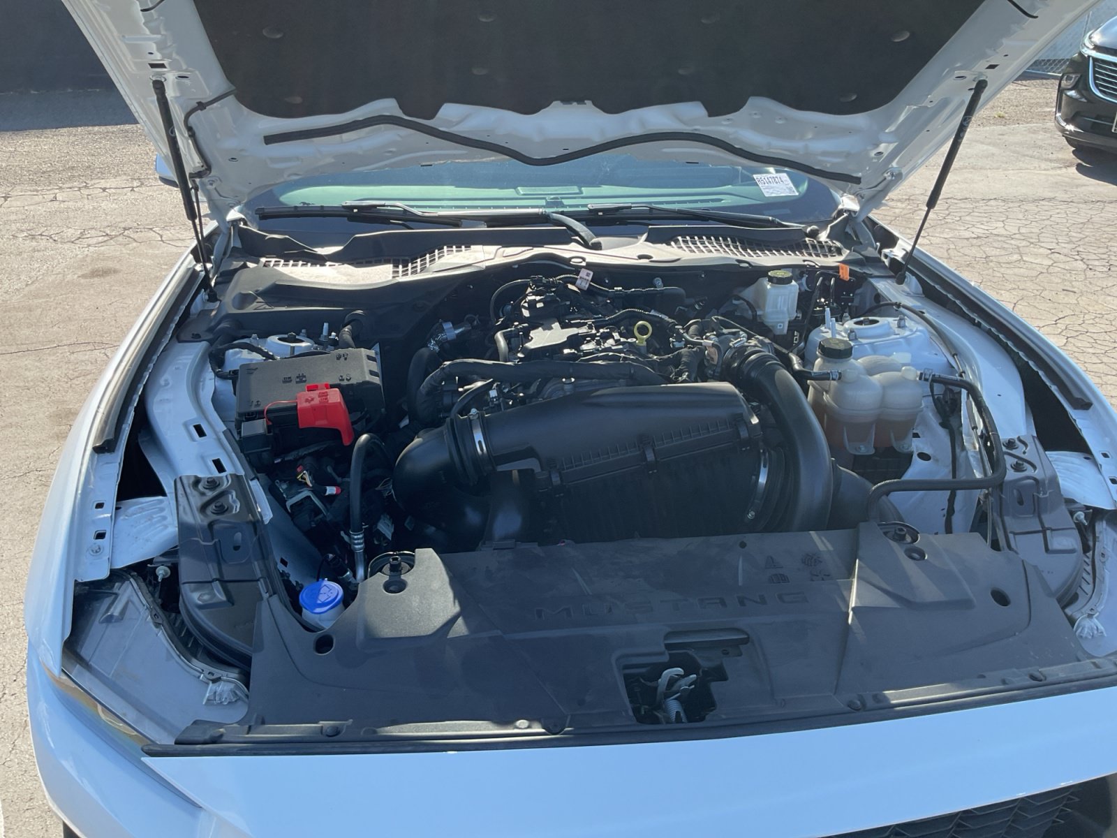 Used 2024 Ford Mustang Coupe RWD image 22