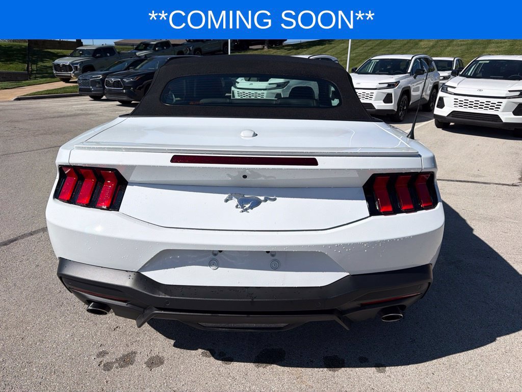 Used 2024 Ford Mustang Premium RWD image 7