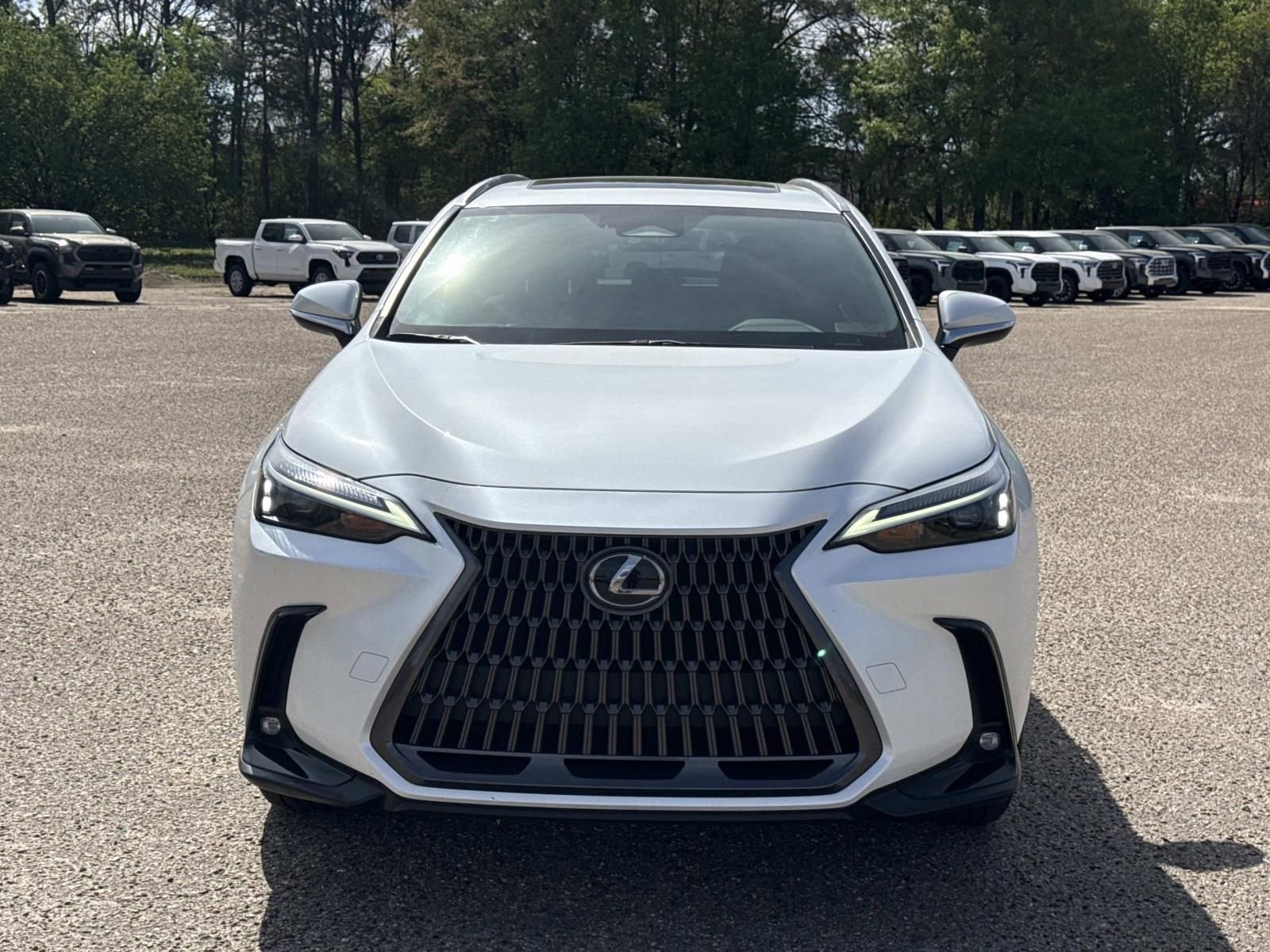 Used 2024 Lexus NX 250 FWD w/ Cold Area Package image 8