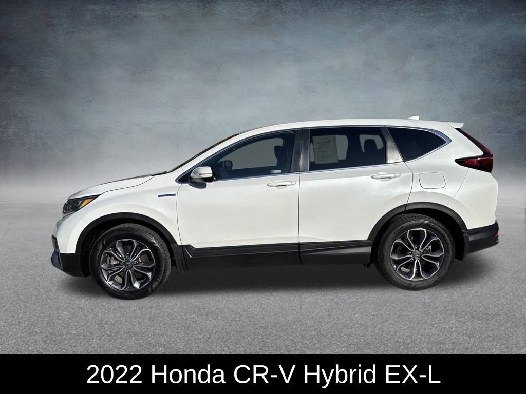 Used 2022 Honda CR-V EX-L image 2