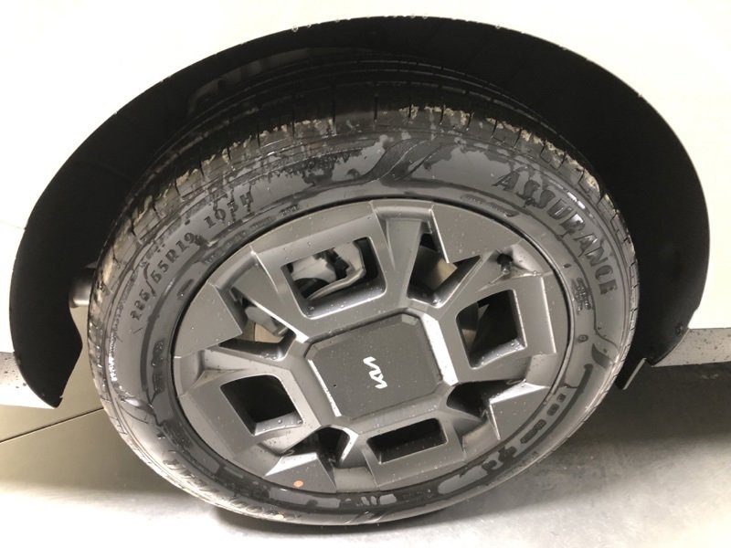 New 2026 Kia Carnival SX image 10