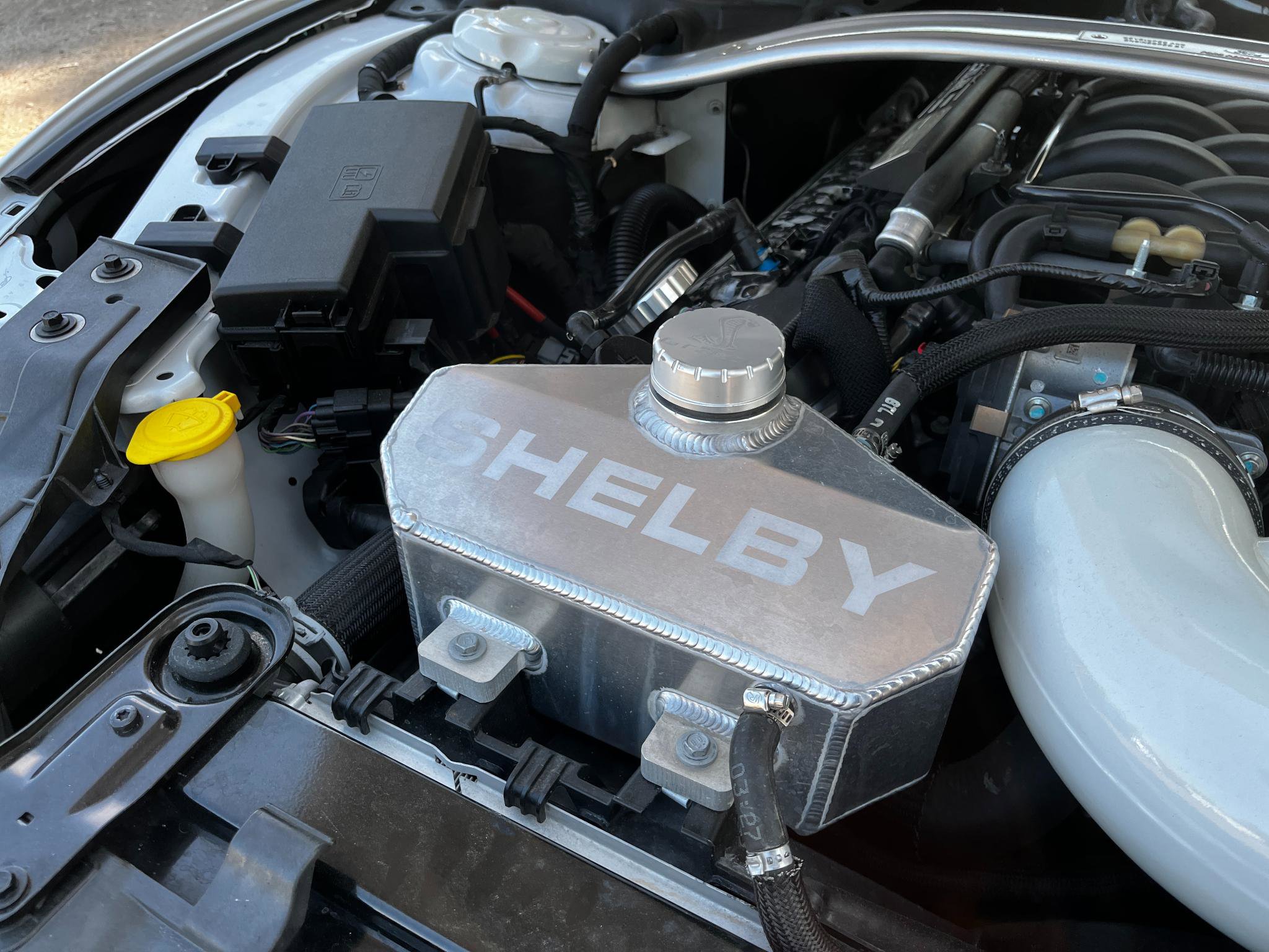 Used 2016 Ford Mustang Shelby GT350 w/ Technology Package image 23