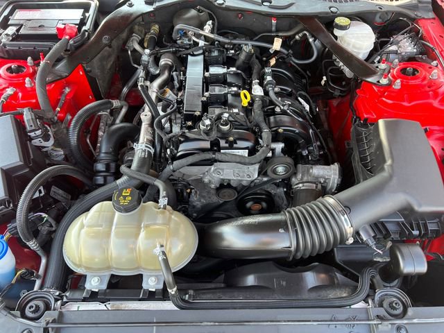 Used 2023 Ford Mustang Premium image 39