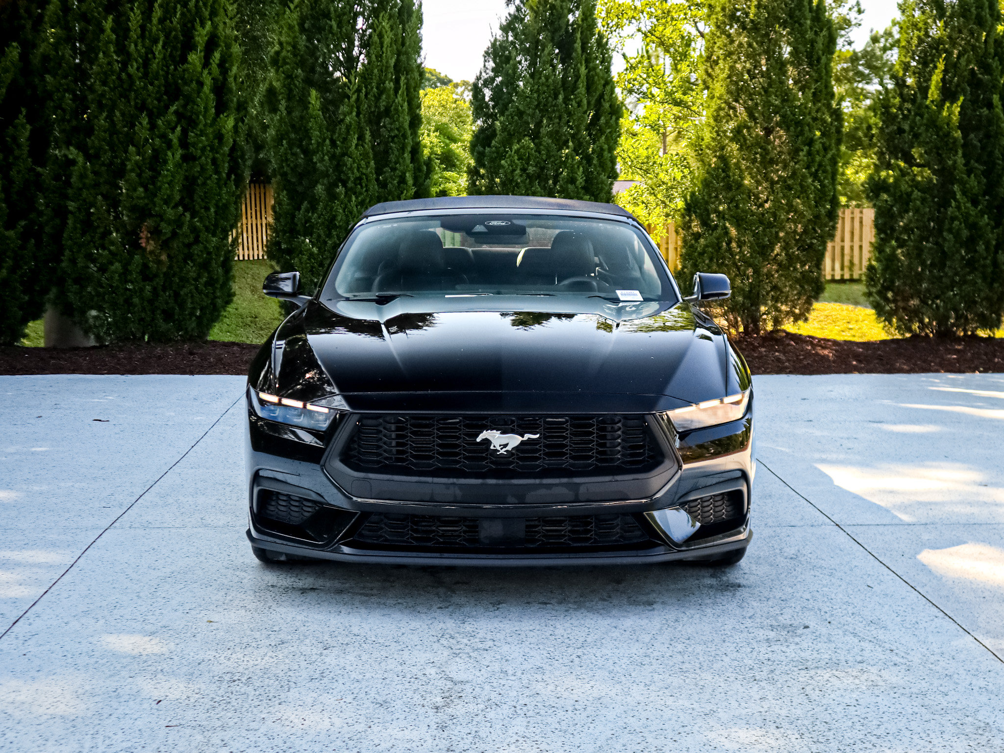 Used 2025 Ford Mustang Premium RWD image 3
