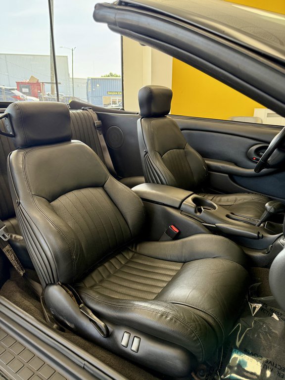 Used 2002 Pontiac Firebird Trans Am image 15