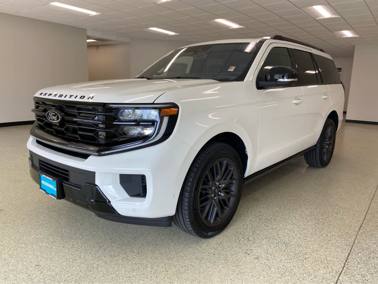 New 2025 Ford Expedition Platinum