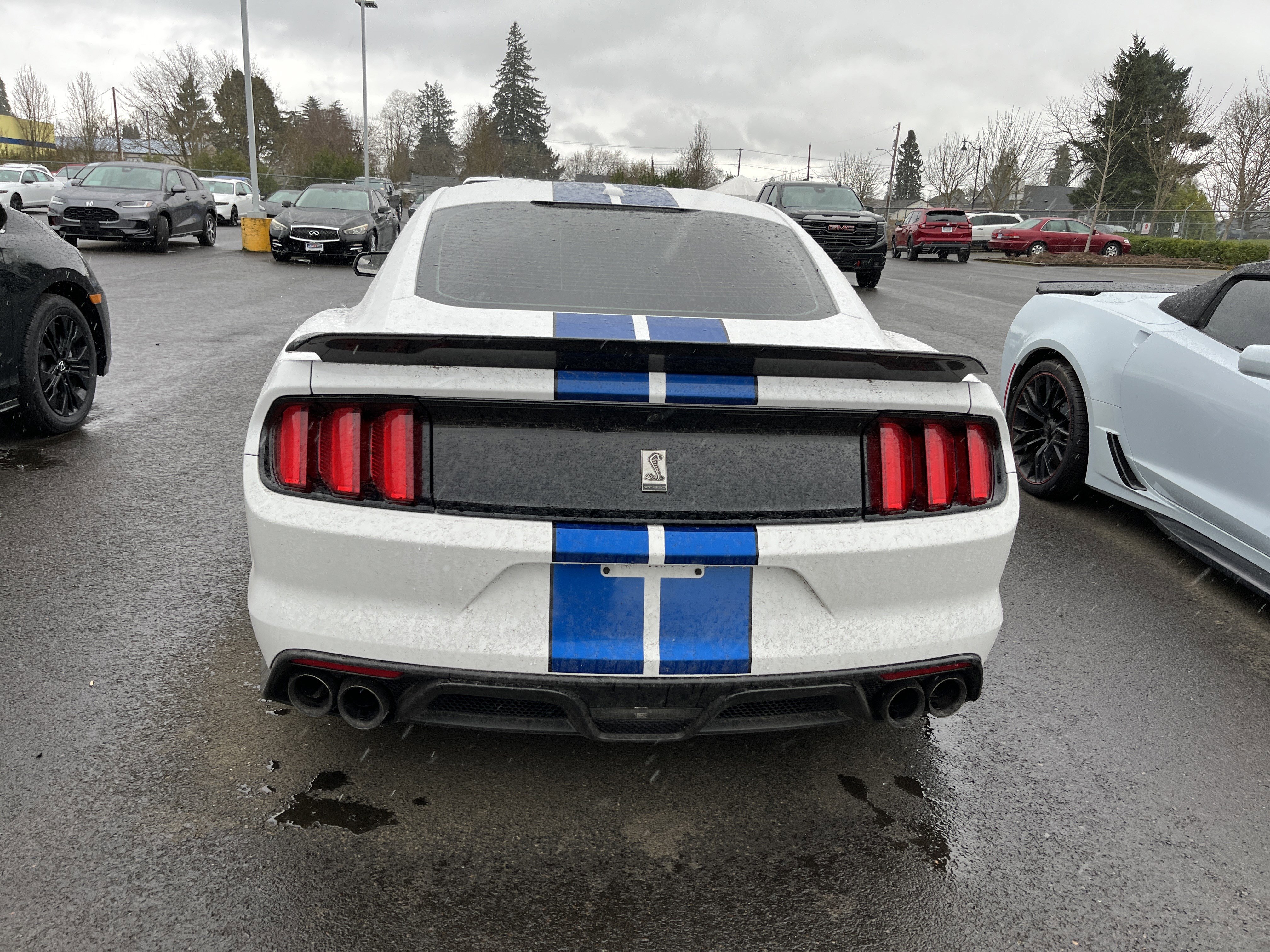 Used 2017 Ford Mustang Shelby GT350 w/ Electronics Package image 6