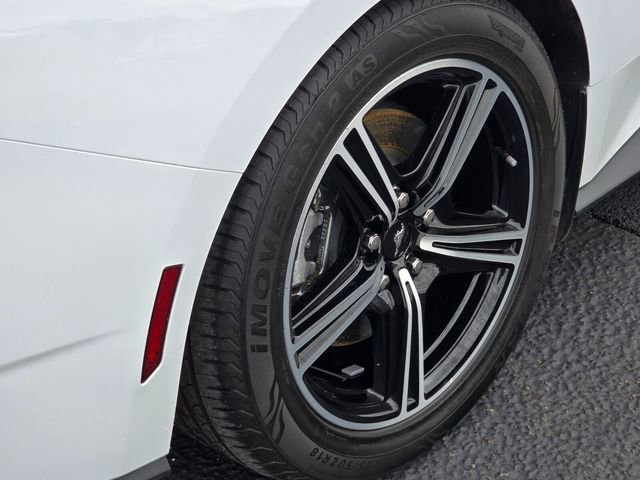 Used 2024 Ford Mustang Premium image 7