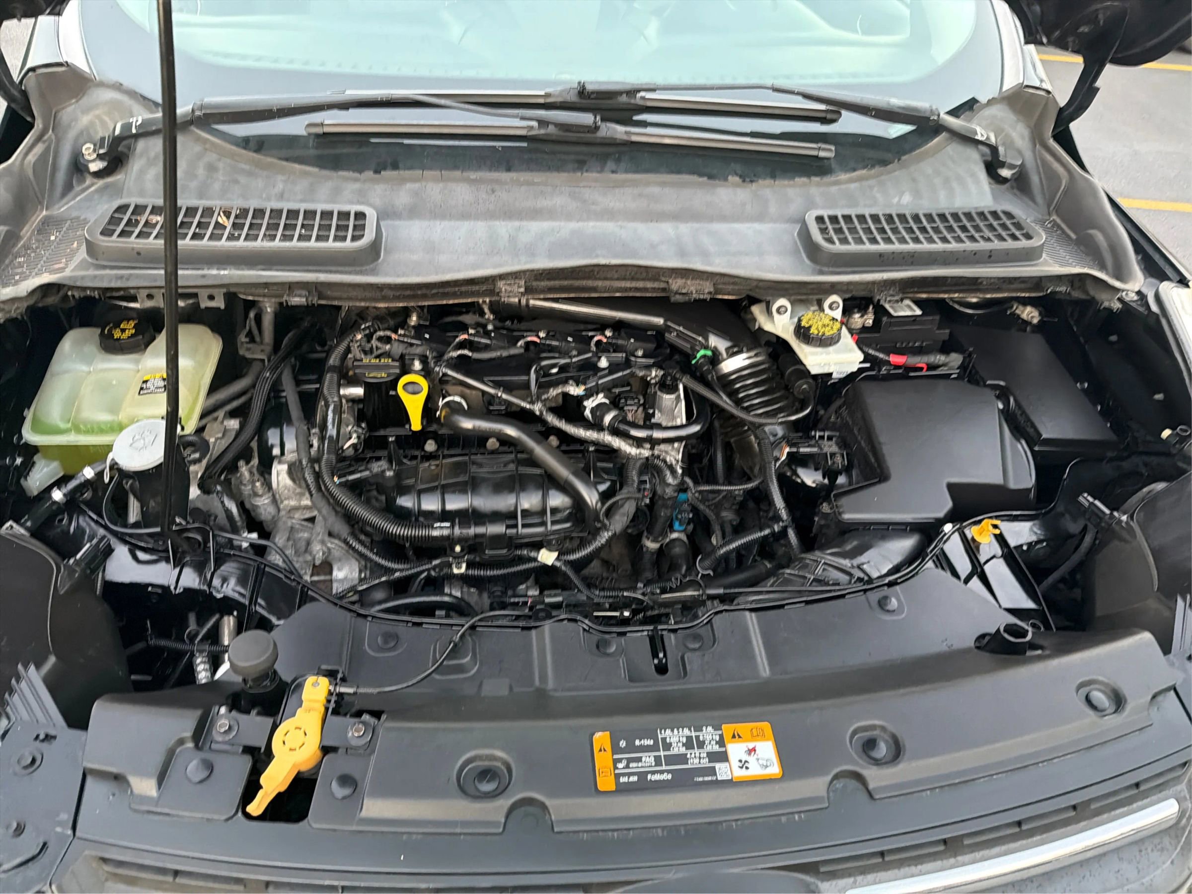 Used 2013 Ford Escape SE image 22