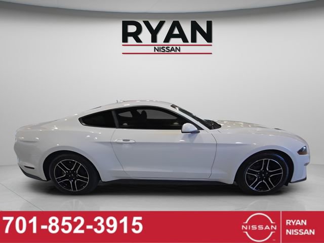 Used 2023 Ford Mustang EcoBoost image 6