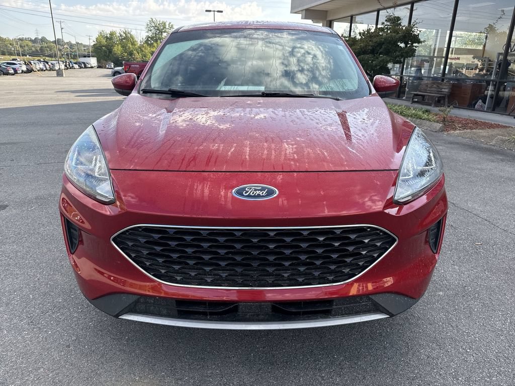 Used 2020 Ford Escape SE AWD/4WD image 2