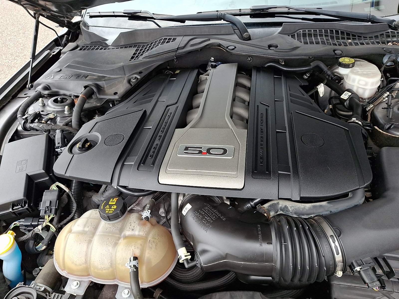 Certified 2019 Ford Mustang GT Premium w/ Equipment Group 401A RWD image 27