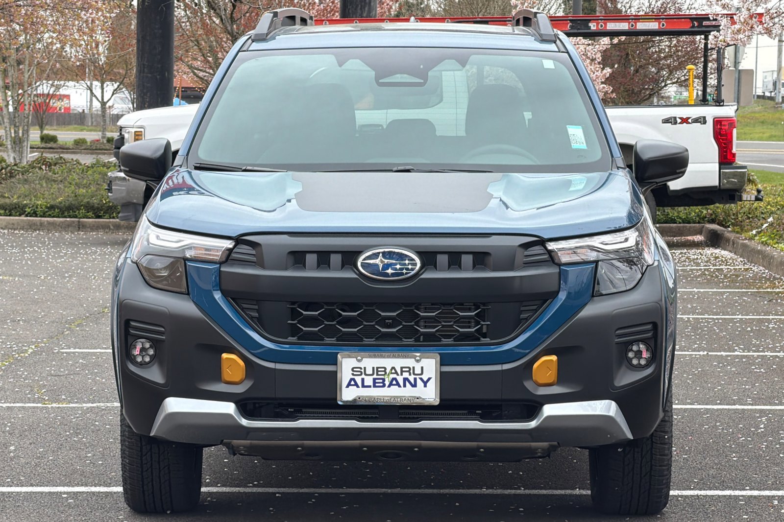 New 2026 Subaru Forester Wilderness image 9