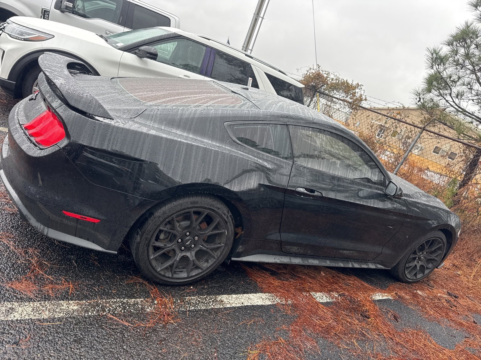 Used 2018 Ford Mustang Premium w/ Ecoboost Performance Package image 8